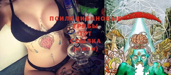 гашик Лиски