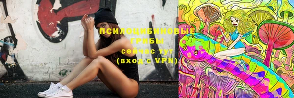 стафф Магас