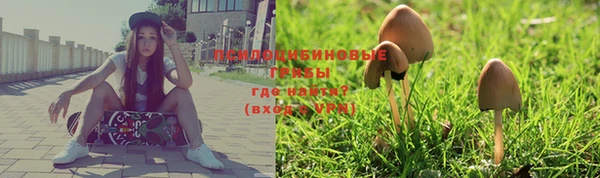 стафф Магас