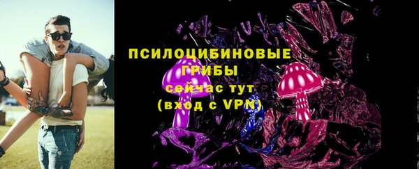 стафф Магас