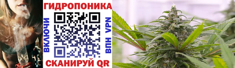 магазин продажи   KRAKEN tor  МАРИХУАНА марихуана  Тбилисская 
